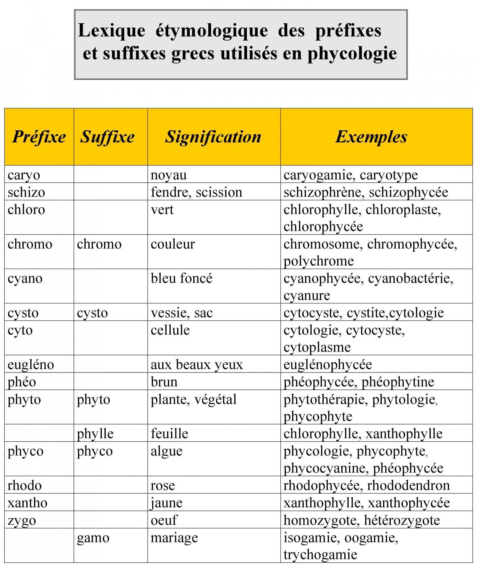 Classification des algues : algues rouges, algues bleues